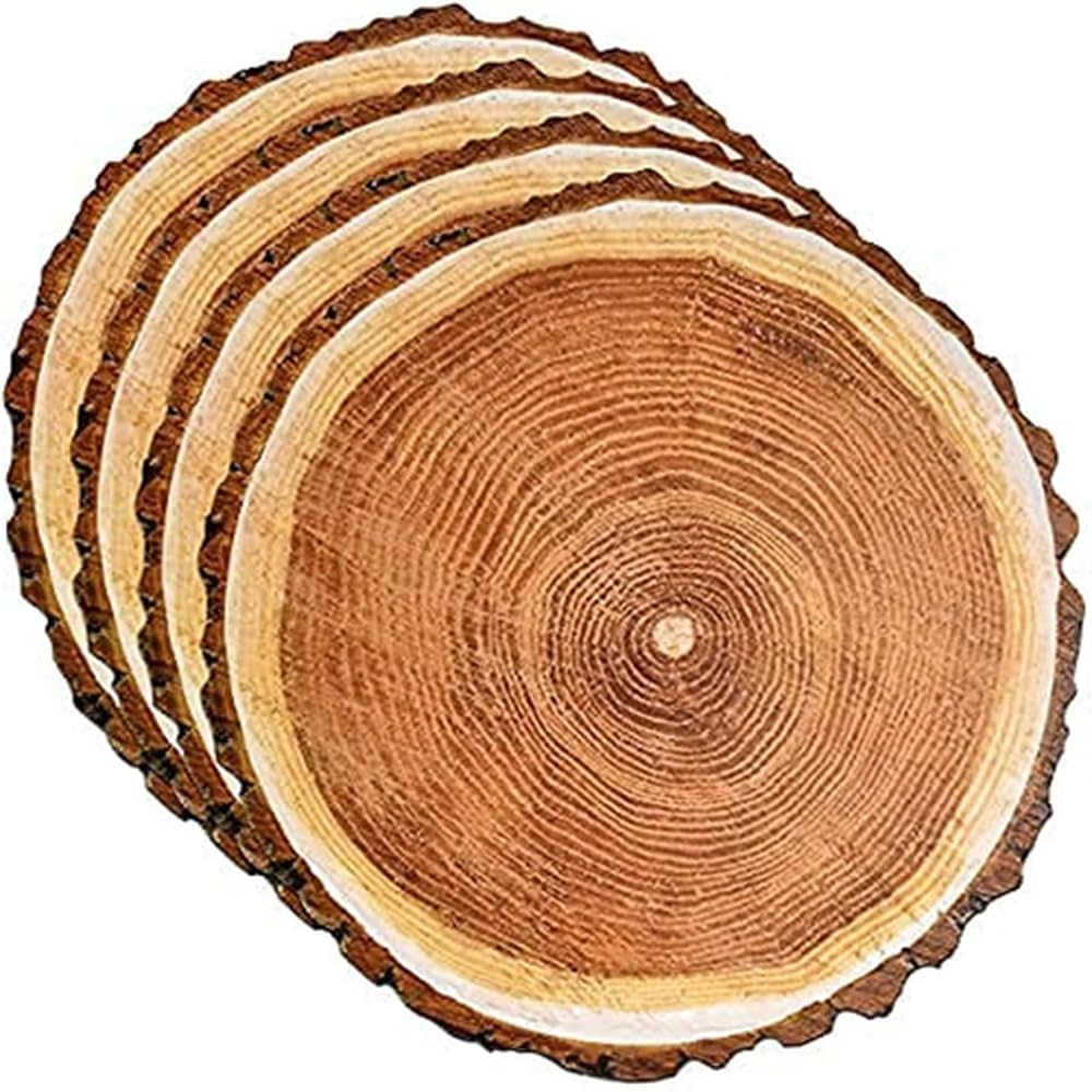 100 Rustic Wood Slice Paper Placemats 13.5 Inch Round Disposable Mats
