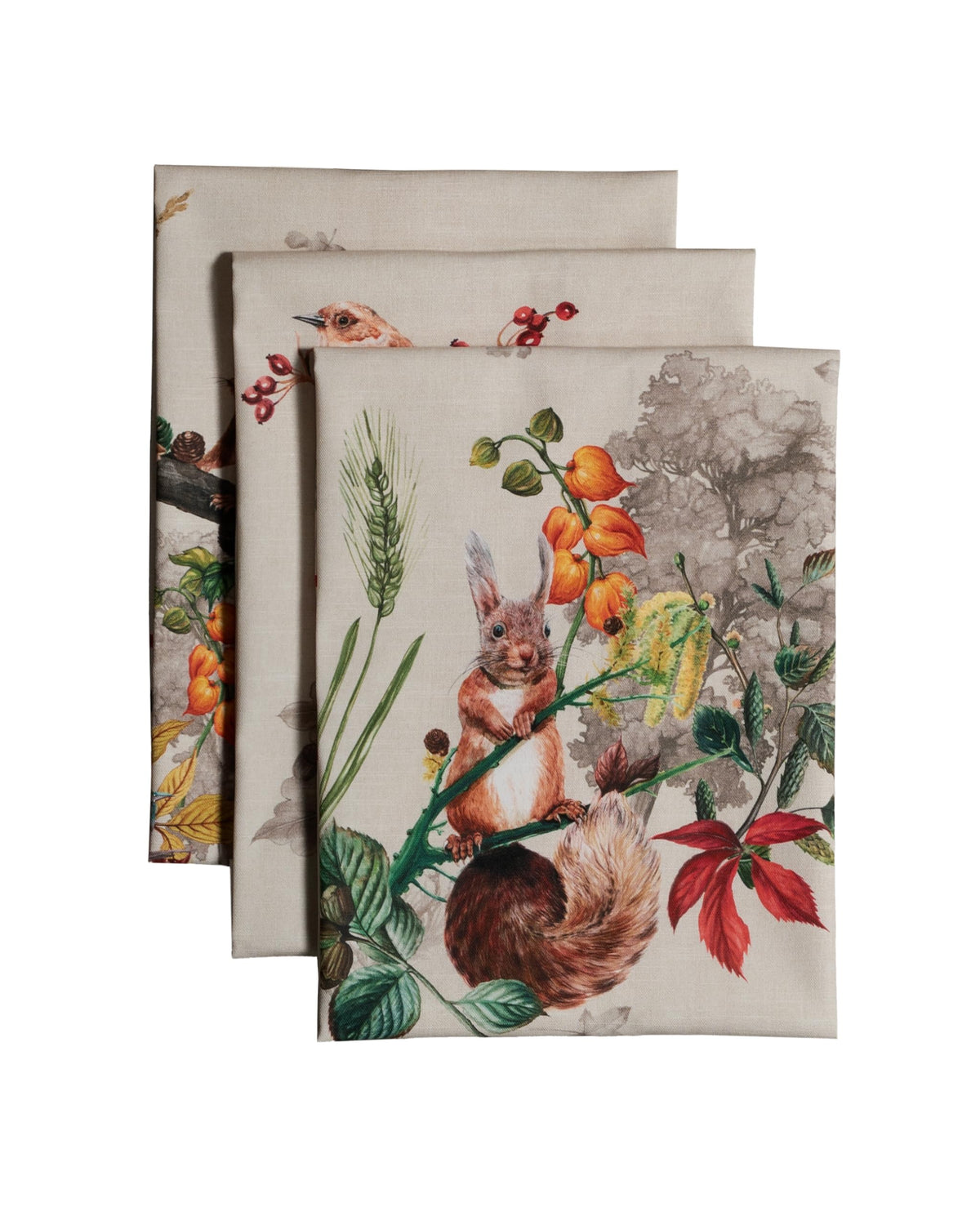 Maison d' Hermine Kitchen Towels Set of 3 Reusable 100% Cotton 27.50" x 20"