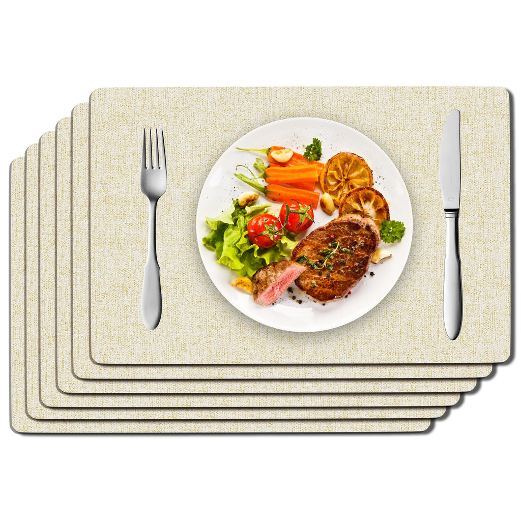 DOLOPL Placemats Set of 6, Reversible Faux Leather Place Mats, Charcoal